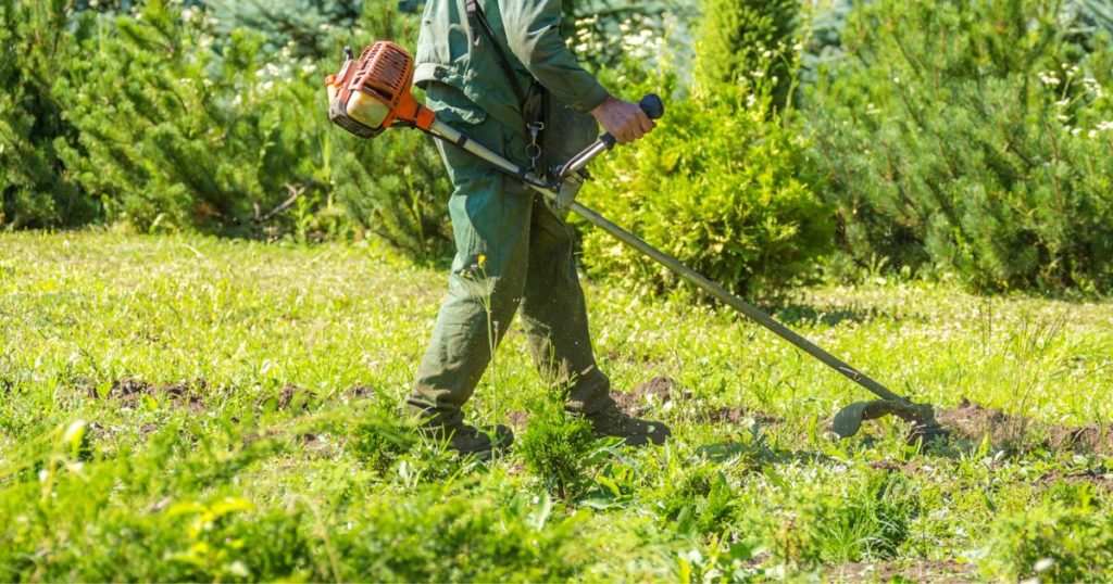 草刈り中の写真